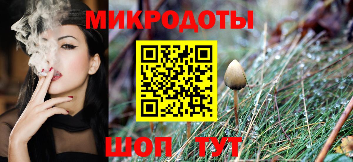 Псилоцибиновые грибы Psilocybe  Вход с VPN  Моздок 