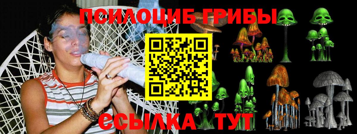 Псилоцибиновые грибы мухоморы Моздок